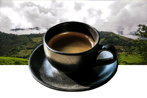 tasse decafeine sur fond nature - café en grain neuilly-sur-seine
