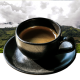 tasse decafeine sur fond nature - café en grain neuilly-sur-seine