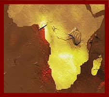 Les pays producteurs de café d'Afrique